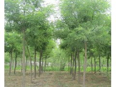 求购信息 买家 供应 会商宝求购网