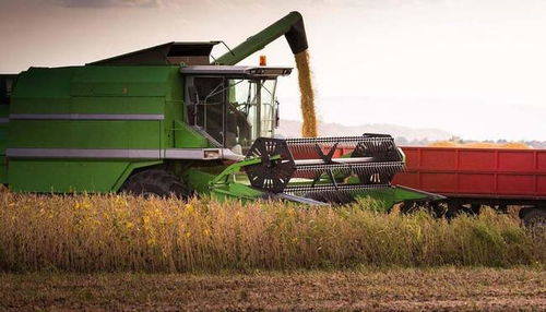 我国稻谷与小麦产量的统计方法解析