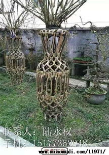 匠心打造自然艺术 桂林中国红紫薇苗木有限责任公司精品紫薇造型花瓶苗木